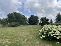 Villa - TONGEREN-BORGLOON