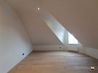 Appartement - TONGEREN-BORGLOON