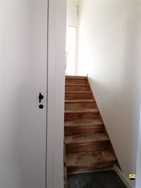 Appartement - TONGEREN-BORGLOON