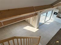 Appartement - BORGLOON