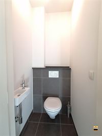 Appartement - TONGEREN-BORGLOON