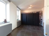 Appartement - TONGEREN-BORGLOON