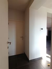 Appartement - TONGEREN-BORGLOON