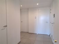 Appartement - TONGEREN-BORGLOON