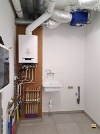 Appartement - TONGEREN-BORGLOON