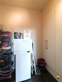 Appartement - TONGEREN-BORGLOON