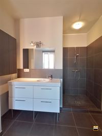 Appartement - TONGEREN-BORGLOON