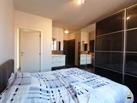 Appartement - TONGEREN-BORGLOON