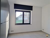 Appartement - TONGEREN-BORGLOON