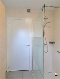 Appartement - TONGEREN-BORGLOON