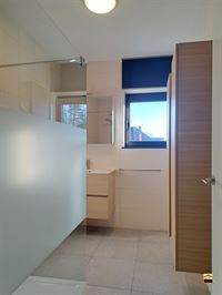 Appartement - TONGEREN-BORGLOON