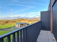 Appartement - TONGEREN-BORGLOON