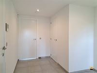 Appartement - TONGEREN-BORGLOON