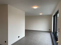 Appartement - TONGEREN-BORGLOON