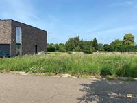 Bouwgrond - TONGEREN-BORGLOON