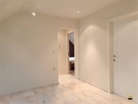 Handelspand met woonst - TONGEREN-BORGLOON