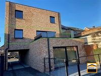 Appartement - TONGEREN-BORGLOON