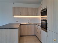 Appartement - TONGEREN-BORGLOON