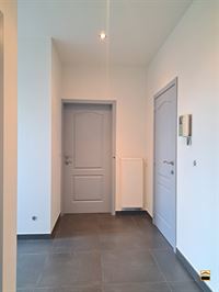 Appartement - BORGLOON