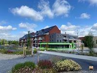 handelspand - BORGLOON