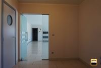 Appartement - TONGEREN-BORGLOON