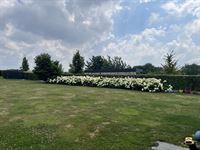 Villa - TONGEREN-BORGLOON