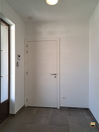 assistentiewoning - BORGLOON