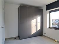 Appartement - TONGEREN-BORGLOON