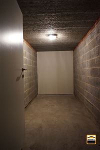 Appartement - TONGEREN-BORGLOON