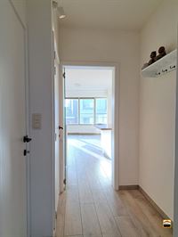 Appartement - TONGEREN-BORGLOON