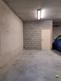 Appartement - TONGEREN-BORGLOON