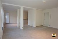 Appartement - TONGEREN-BORGLOON
