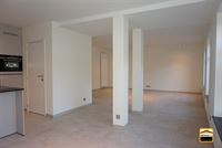 Appartement - TONGEREN-BORGLOON