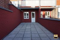 Appartement - TONGEREN-BORGLOON