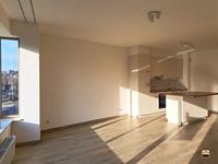 Appartement - TONGEREN-BORGLOON