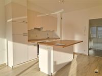 Appartement - TONGEREN-BORGLOON