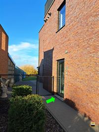 Appartement - TONGEREN-BORGLOON