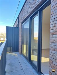 Appartement - TONGEREN-BORGLOON