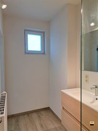 Appartement - TONGEREN-BORGLOON