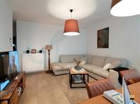 Appartement - TONGEREN-BORGLOON