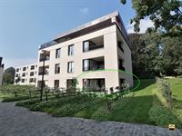 Appartement - TONGEREN-BORGLOON