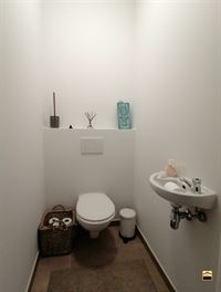 Appartement - TONGEREN-BORGLOON