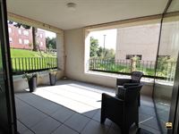 Appartement - TONGEREN-BORGLOON