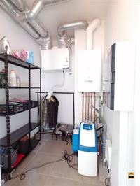 Appartement - TONGEREN-BORGLOON