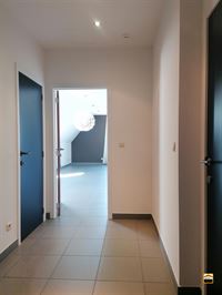 Appartementsgebouw - TONGEREN-BORGLOON