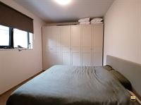 Appartement - TONGEREN-BORGLOON