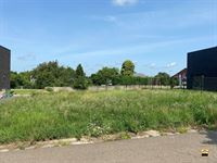 Bouwgrond - TONGEREN-BORGLOON