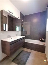 Appartement - TONGEREN-BORGLOON