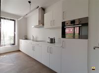 Appartement - TONGEREN-BORGLOON