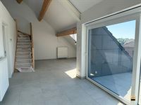 Appartement - TONGEREN-BORGLOON